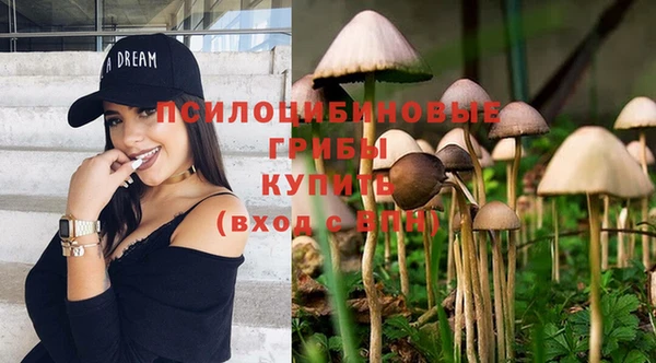 гидропоника Балахна
