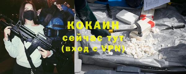 стаф Новозыбков