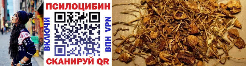 Псилоцибиновые грибы GOLDEN TEACHER наркошоп Южноуральск